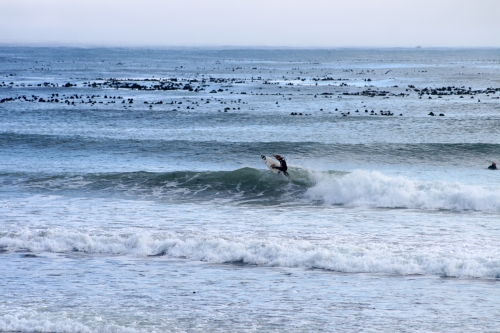 ripping surfers